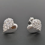 Load image into Gallery viewer, 925 Sterling Silver Earrings
