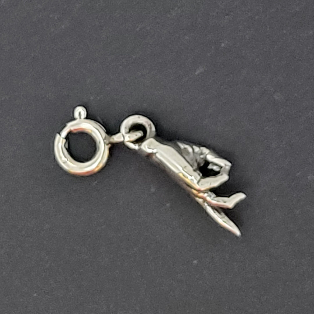 925 Sterling Silver Charm